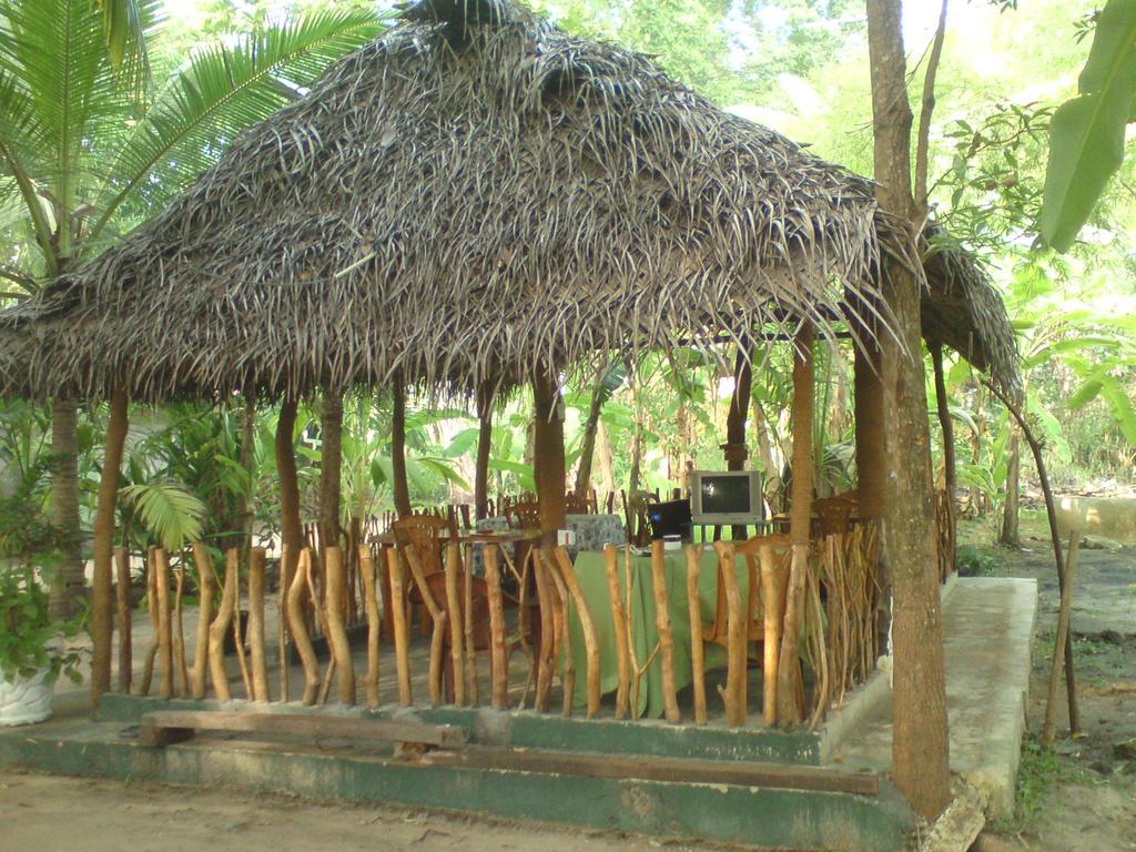Bed and Breakfast Coconut Park à Anurâdhapura Extérieur photo