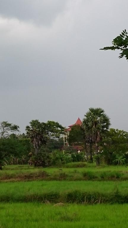 Bed and Breakfast Coconut Park à Anurâdhapura Extérieur photo