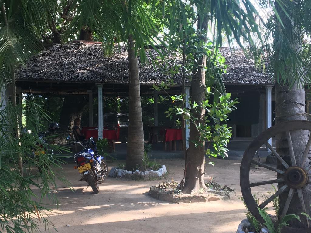 Bed and Breakfast Coconut Park à Anurâdhapura Extérieur photo