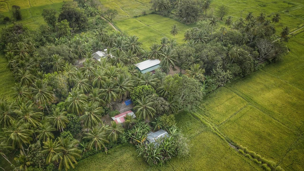 Bed and Breakfast Coconut Park à Anurâdhapura Extérieur photo