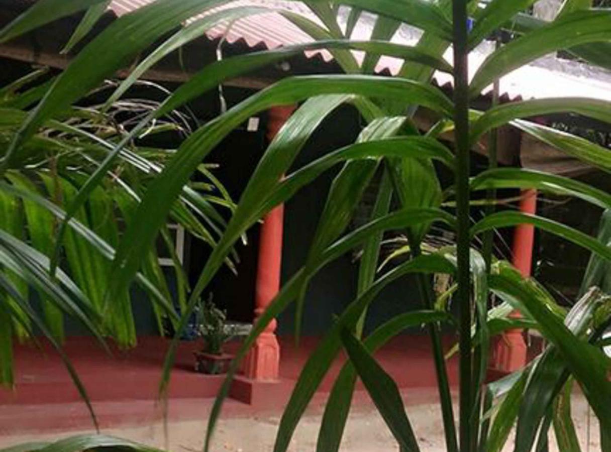 Bed and Breakfast Coconut Park à Anurâdhapura Extérieur photo